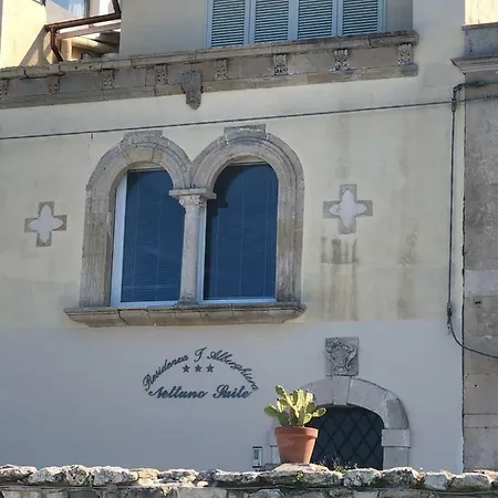Appartement Nettuno